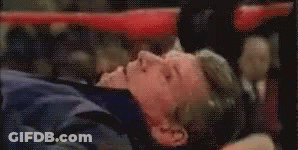 Cat Surrounded By Flowers Love You 3 GIF