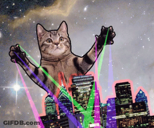 Cat Surrounded By Lasers And City Skyline GIF