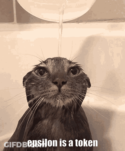 Cat Taking Bath Epsilon Is A Token GIF