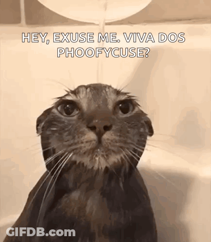 Cat Taking Bath In Bathtub GIF