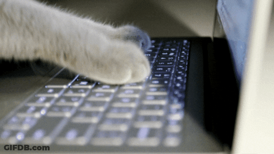 Cat Taking Over The Microsoft GIF