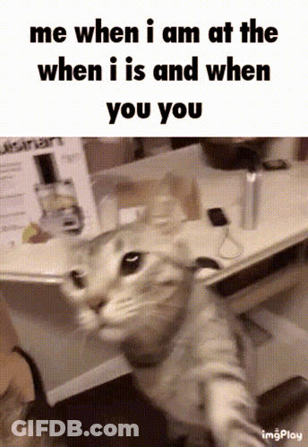 Cat Taking Selfie GIF