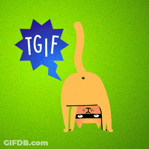 Cat Thank God Its Friday GIF