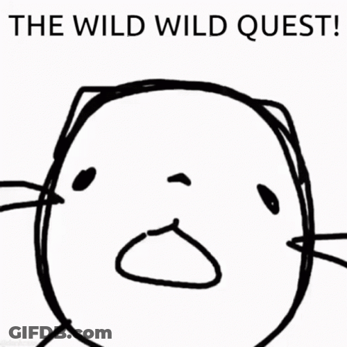 Cat The Wild Wild Quest GIF