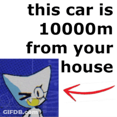 Cat This Car Is 1000M From Your House GIF