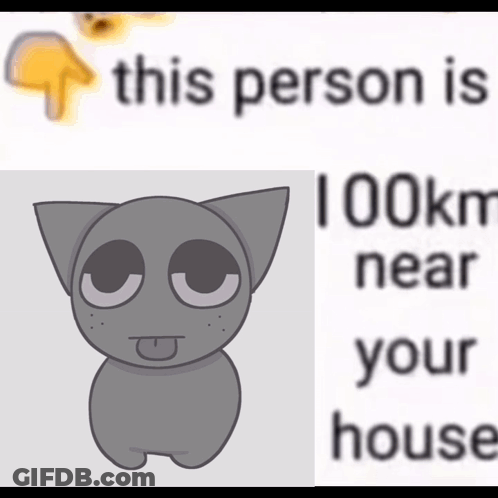Cat This Person Is 100 Km Near Your House GIF