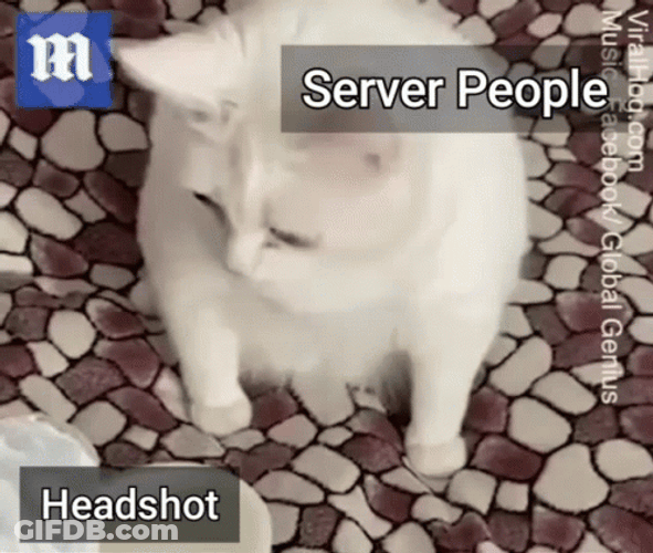 Cat Throw Up Face Headshot GIF