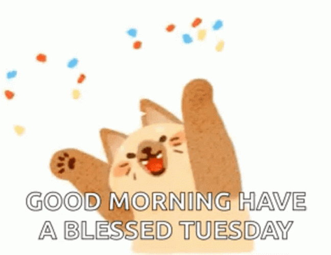 Cat Throwing Confetti Good Tuesday Morning GIF