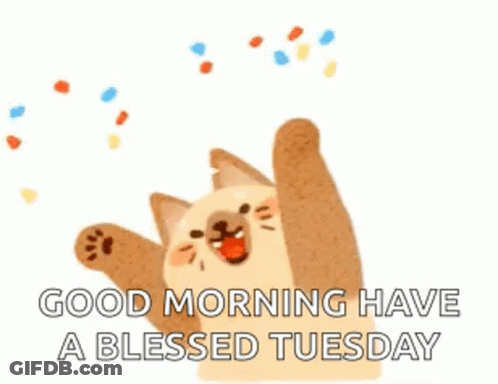 Cat Throwing Confetti Saying Good Morning Blessed Tuesday GIF