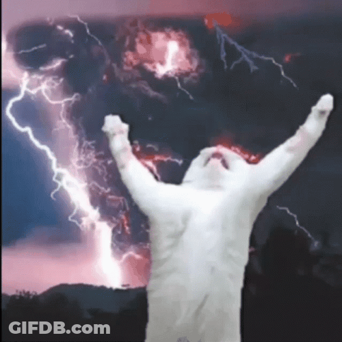 Cat Thunder Storm GIF
