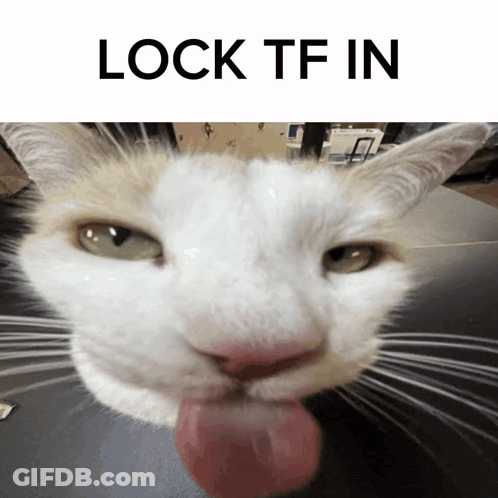Cat Tongue Out Lock Tf In GIF