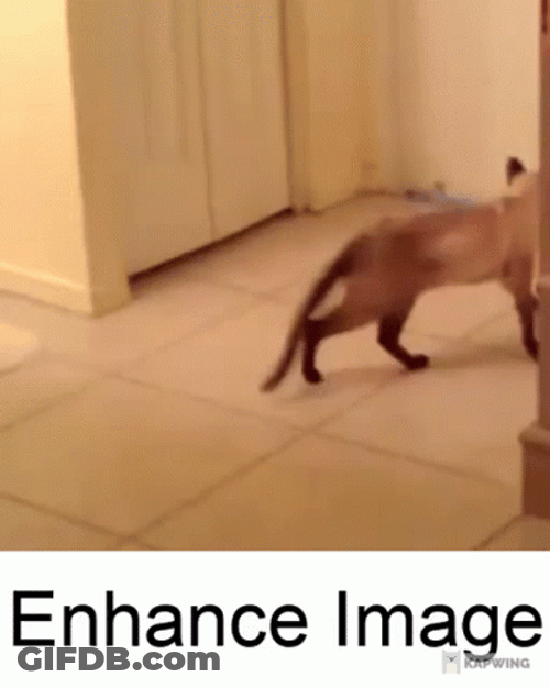 Cat Twirling Enhance Image GIF