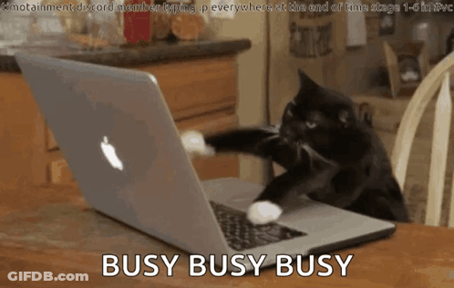 Cat Typing On Laptop Busy Busy Busy GIF