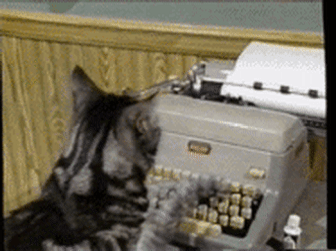 Cat Typing On Typewriter GIF