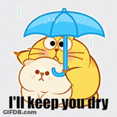 Cat Umbrella Another Cat I'll Keep You Dry GIF