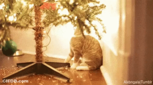 Cat Under Christmas Tree Alxbongala Tumblr GIF