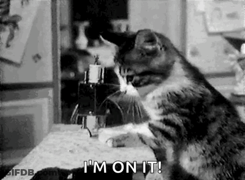 Cat Using Sewing Machine Saying I'm On It GIF