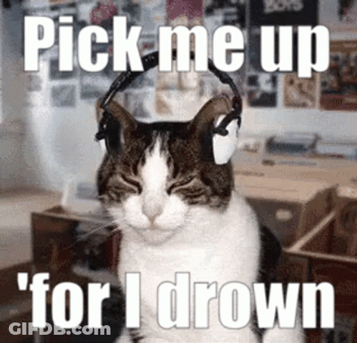 Cat Vibes Pick Me For I Drown GIF