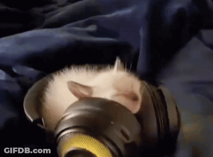 Cat Vibing In Big Headphones GIF