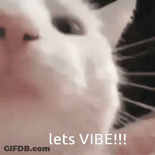 Cat Vibing Let's Vibe GIF