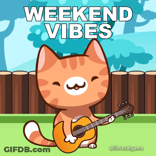 Cat Vibing Playing Guitar Weekend Vibes GIF