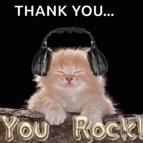 Cat Vibing Thank You GIF