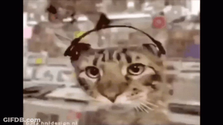Cat Vibing Wearing Headphones GIF