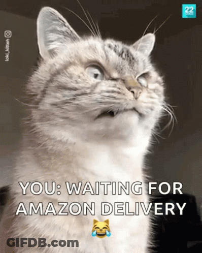 Cat Waiting For Amazon Delivery GIF