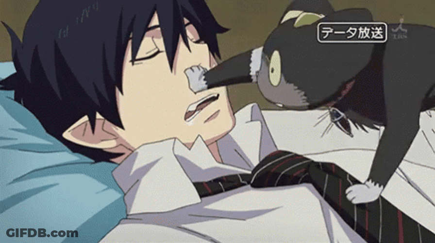 Cat Waking Up Rin Okumura GIF