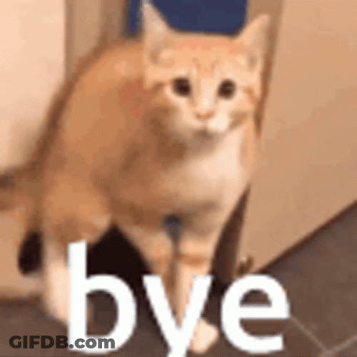 Cat Walk Away Bye Meme GIF