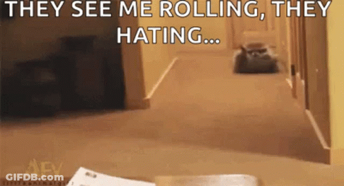 Cat Walking Down Hallway Saying They See Me Rolling They Hating GIF