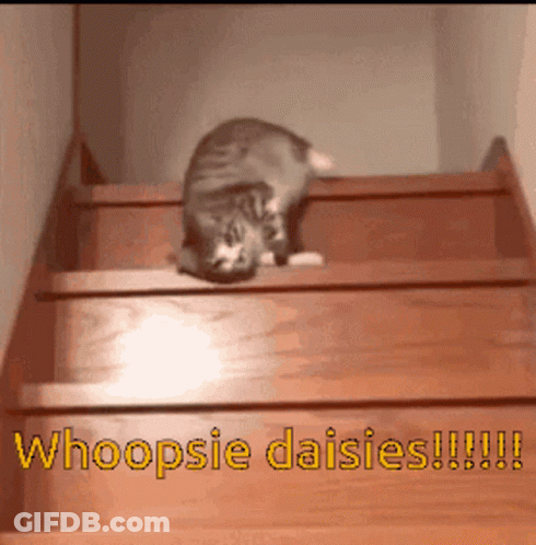 Cat Walking Down Stairs Whoopsie Daisies GIF