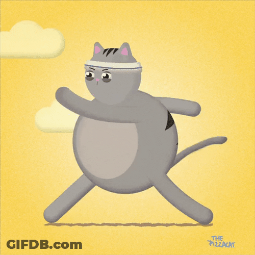 Cat Walking Exercise Jogging Headband GIF