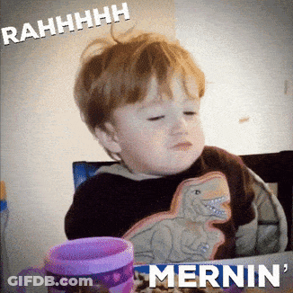 Cat Walking I Sleep Now GIF