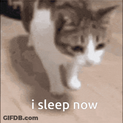 Cat Walking I Sleep Now GIF