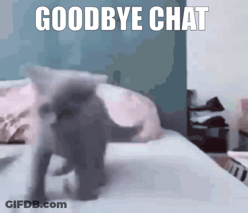 Cat Walking On Bed Goodbye Chat GIF