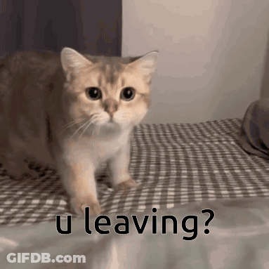 Cat Walking On Bed Saying U Leaving GIF
