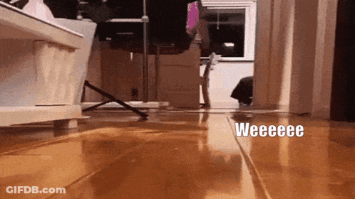 Cat Walking On Wooden Floor Saying Weeeee GIF