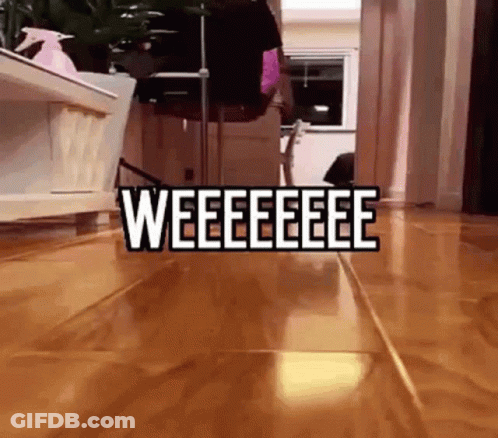 Cat Walking On Wooden Floor Weee GIF