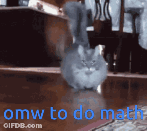 Cat Walking On Wooden Floor With Omw To Do Math GIF