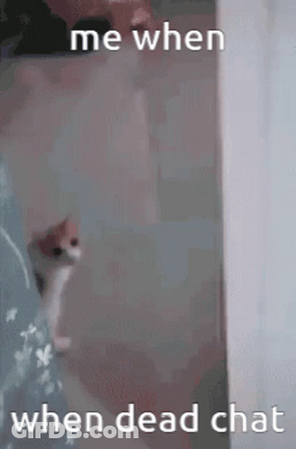 Cat Walking Saying Me When When Dead Chat GIF
