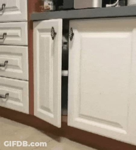 Cat Walking Through Kitchen Cabinet With Open Doors GIF