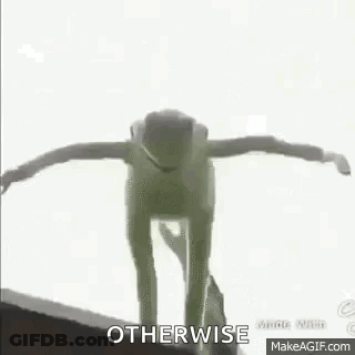 Cat Walking Through Living Room GIF