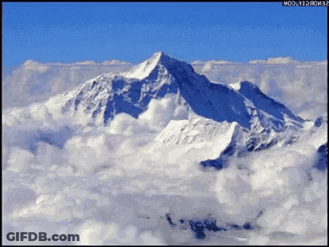 Cat Walking Through Snowy Mountains GIF