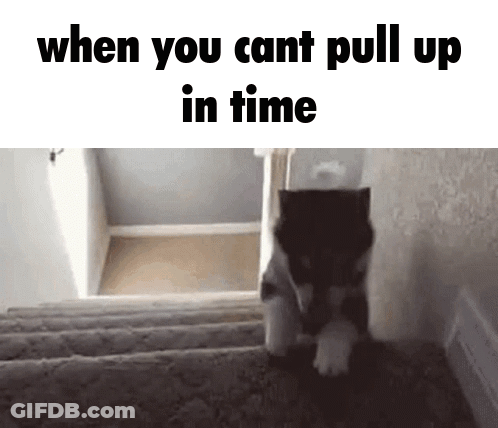Cat Walking Up Stairs When You Cant Pull Up GIF