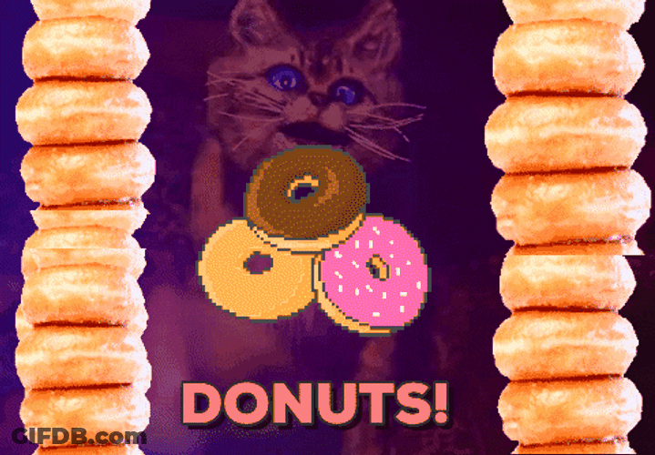 Cat Want To Eat Donuts GIF