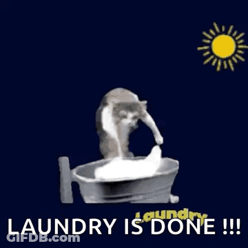 Cat Washing Clothes In Bucket Laundry Is Done GIF