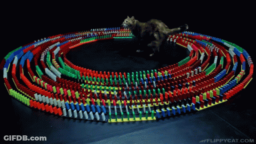 Cat Watching Colorful Dominos Falling GIF