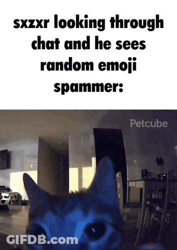 Cat Watching Emoji Spammer In Chat GIF