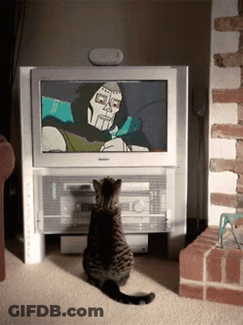 Cat Watching Mf Doom On TV GIF